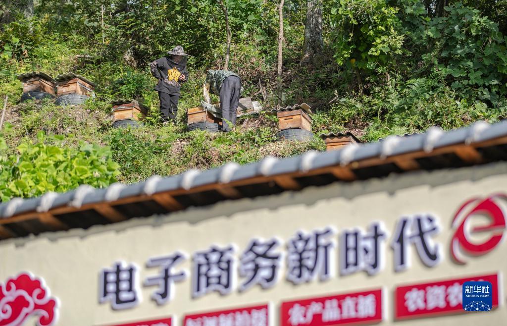 168娱乐3平台是骗局吗